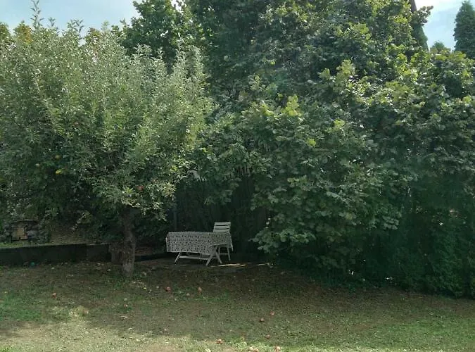 Διαμέρισμα Zvoncica *